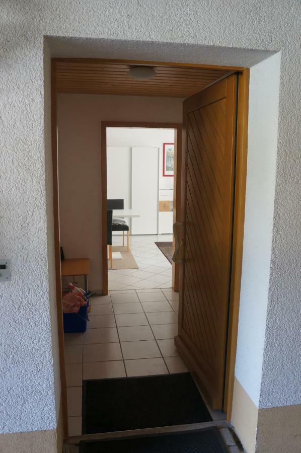 Fritz Appartamento Bad Krozingen Esterno foto